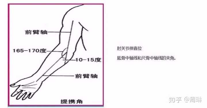 你不算肘外翻,也不超伸