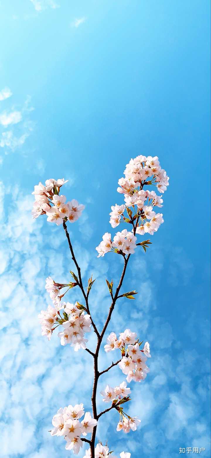 什么手机壁纸app最好用 知乎 什么手机壁纸app最好用 知乎