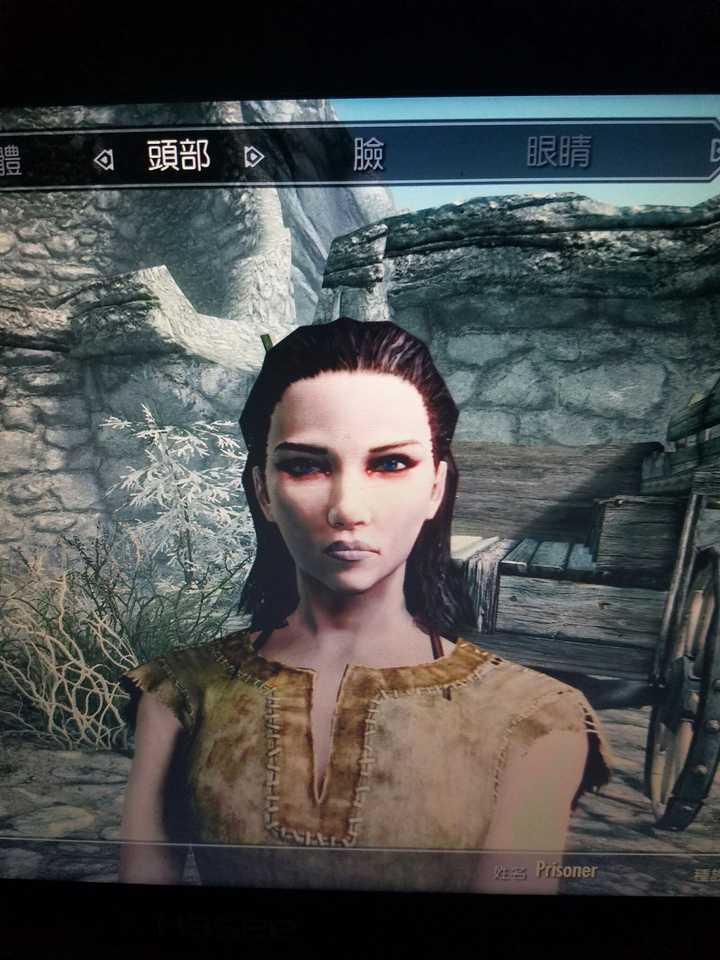 玩 上古卷轴5 选哪个种族比较好 知乎