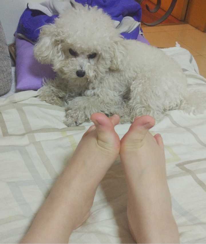 女孩子有一双很好看的脚是一种什么样的体验?