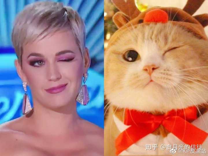 为什么水果姐的果图那么火?