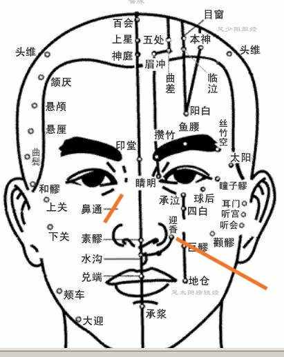 对照来看，我所描述的就是按摩迎香穴和按揉摩擦从鼻梁到鼻翼的这一段。