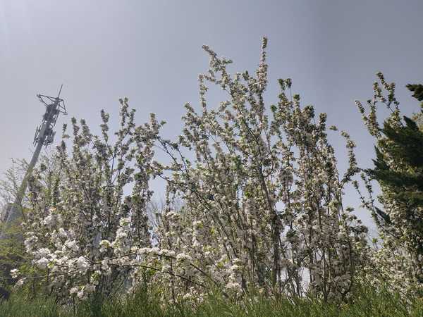 到了上学时间了，孩子突然跟你说，妈妈，我今天很不想去学校，你会同意吗？又是会怎么处理？