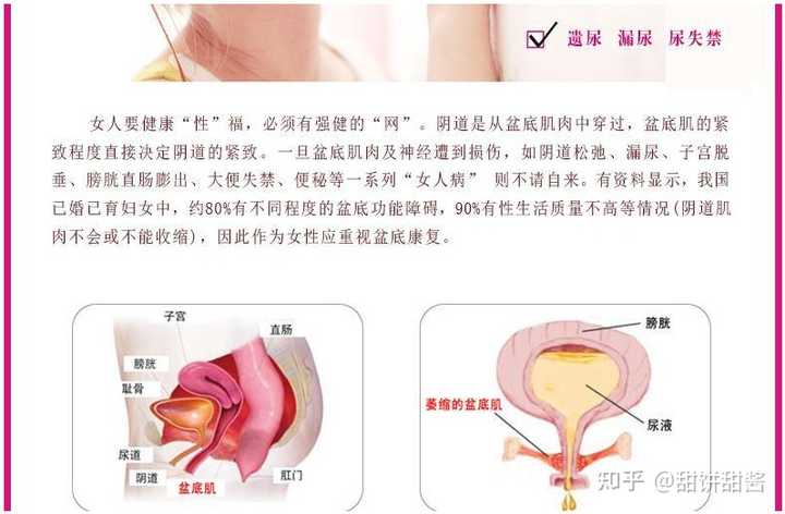 孕晚期 可以做些什么有意义的事情吗 知乎 孕晚期 可以做些什么有意义的事情吗 知乎