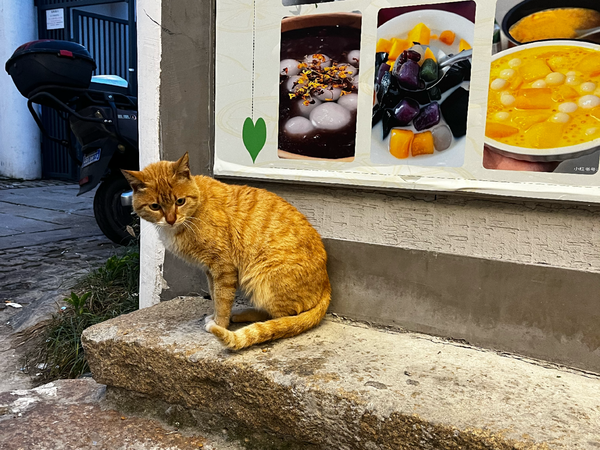 我的青春期孩子总对我爱搭不理，该如何修复亲子关系？