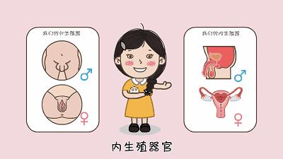 孩子需要客观地了解生殖器的功能