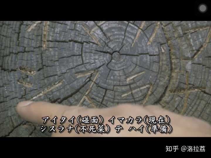 如何评价日剧 圈套 知乎 如何评价日剧 圈套 知乎
