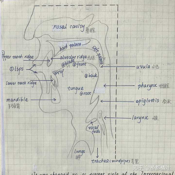 英语试讲教案h模板