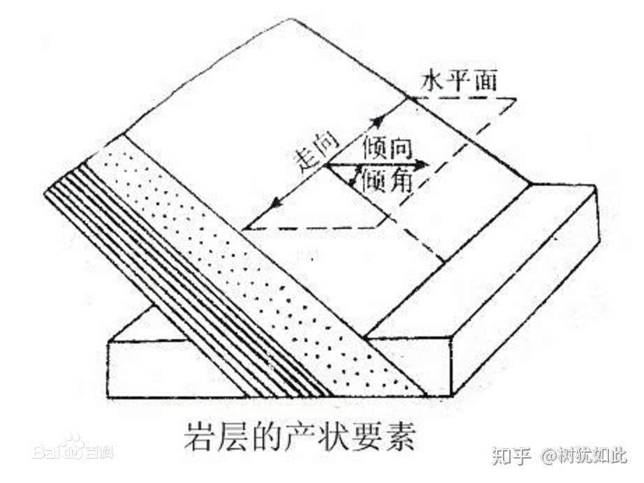 树犹如此没考上华师就不改