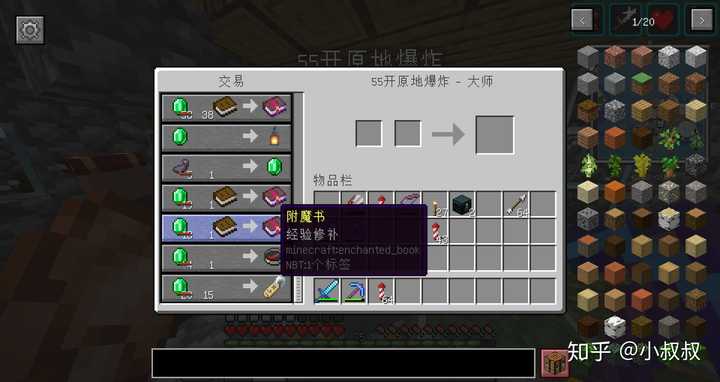 Minecraft在满足基本的生存需求以后该怎么玩 知乎