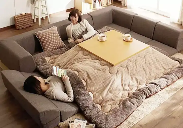 南方的冬季特别冷,有什么好的室内取暖方法? - 知乎