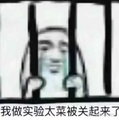 v2-139160f5c384a6d0925409a8725ecb1d_hd.jpg