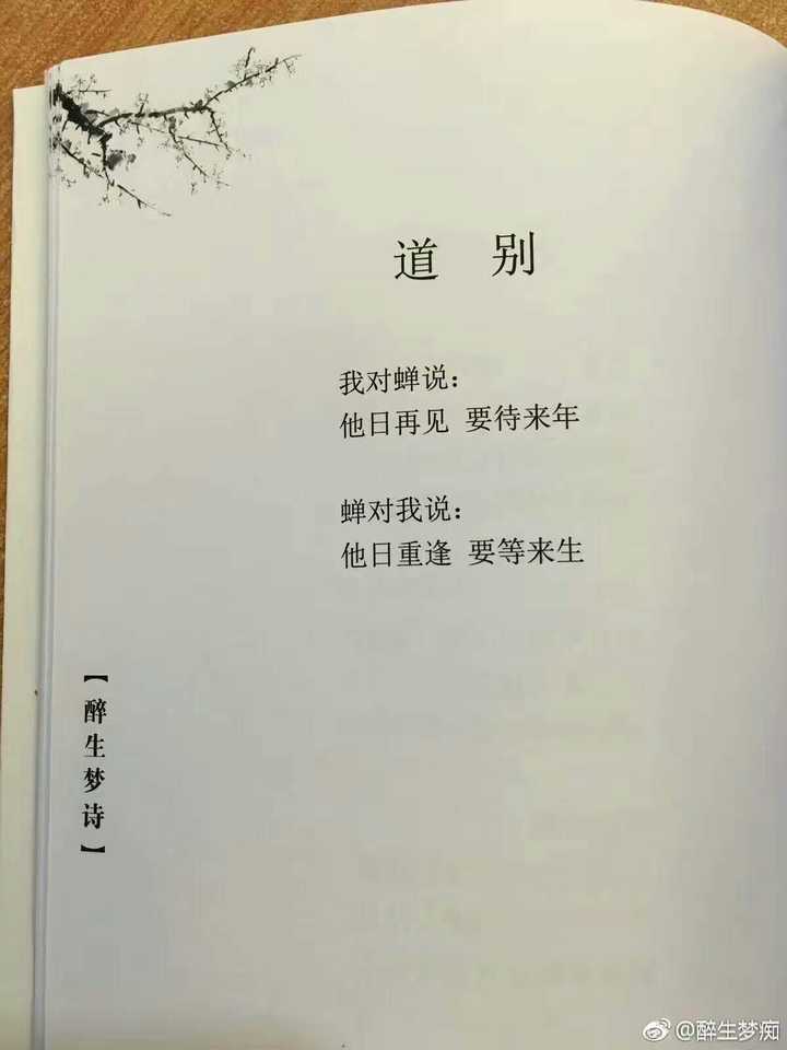 有哪些令你感动的一句诗或一句话 知乎 有哪些令你感动的一句诗或一句话 知乎