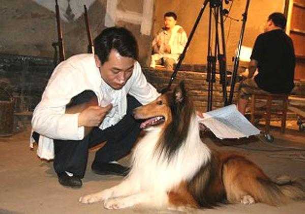 图片20查看更多简介影人:吴樾 / 刘金山 / 英壮 / 高亮 / 颜冠英 / 赵