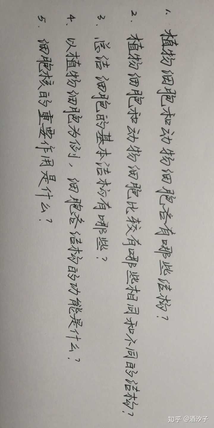 你見過最好看的字是怎樣的?