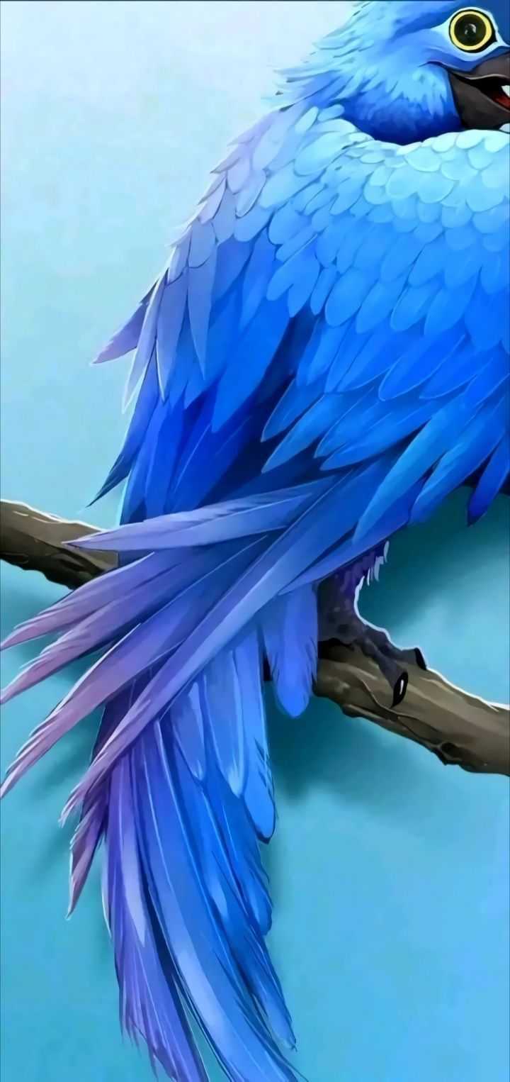 有哪些完美适配三星 s10,s10  打孔屏的壁纸?