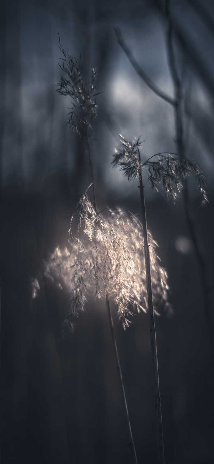 有没有好看的冷淡风或者比较惊艳的全面屏壁纸?