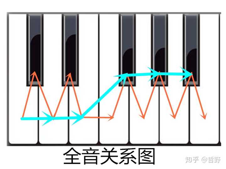 全音和半音应该怎么理解 知乎 全音和半音应该怎么理解 知乎