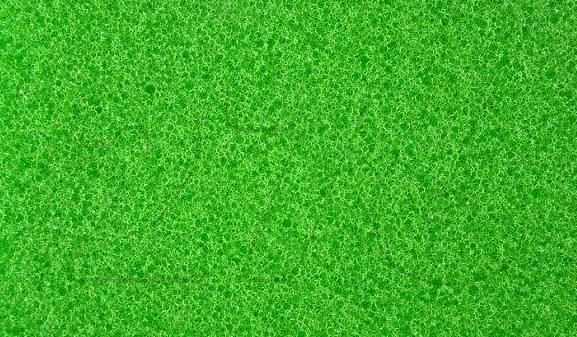 正常和色弱是看不出来数字的.