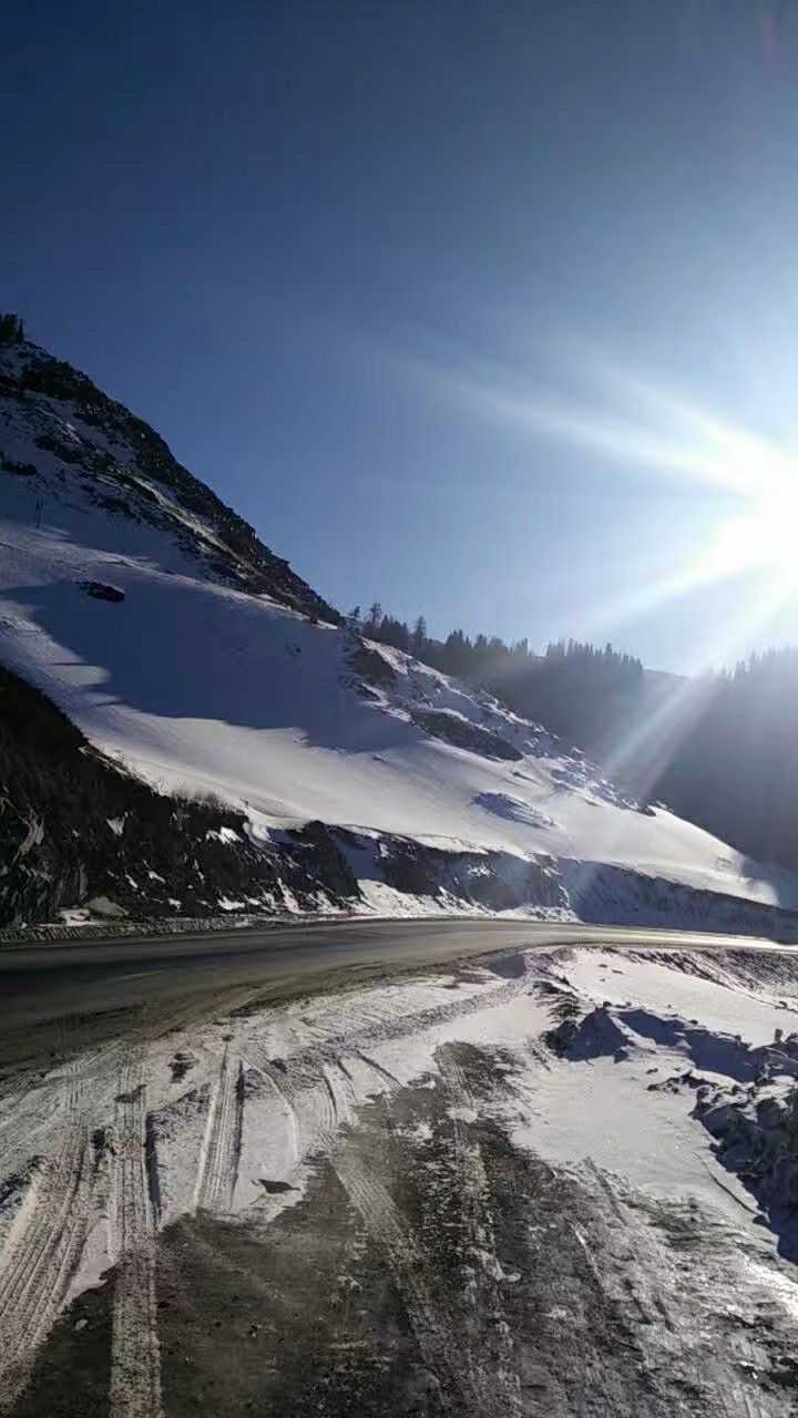 冬天可以開車到松樹塘滑雪,山上空氣炒雞清新