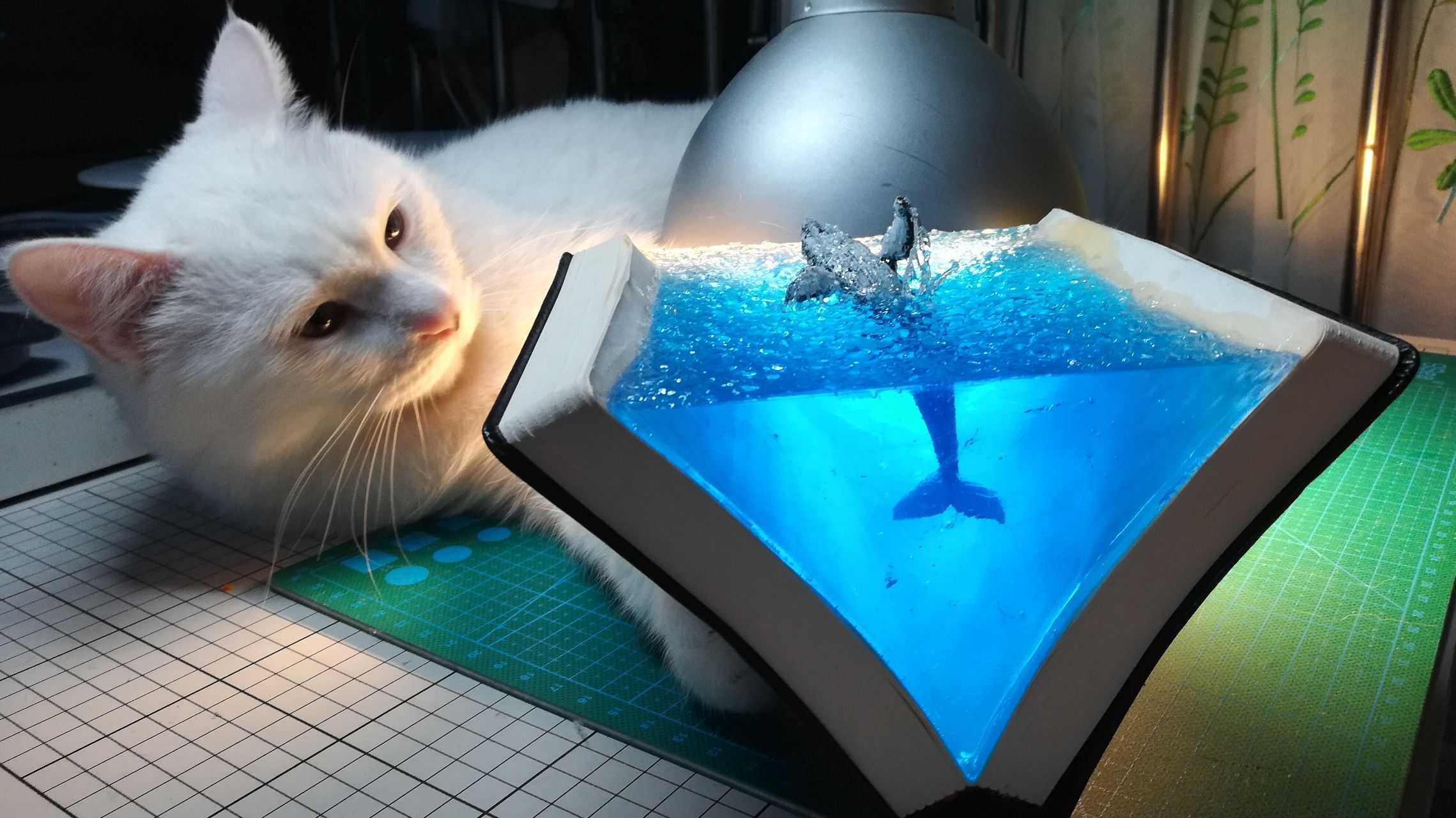 【知识的海洋】镇楼 会有人买的呀,接触滴胶这三年多来,也接了不少