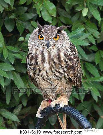 INTP和ISTP有什么区别?