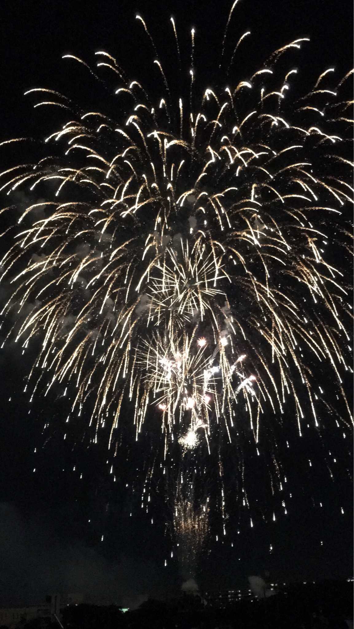 烟花从升起到绽放,都很美,但唯独落幕有些哀伤.