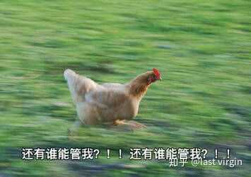 高考考完最后一科走出考场的一瞬间是什么感觉