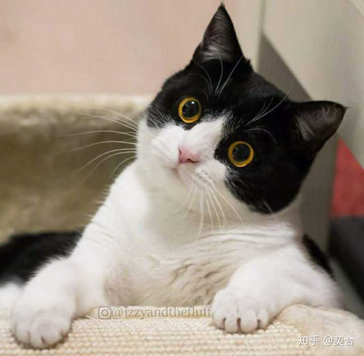 如何以 父亲想让我替姐姐进宫 为开头写一个故事 知乎 如何以 父亲想让我替姐姐进宫 为开头写一个故事 知乎