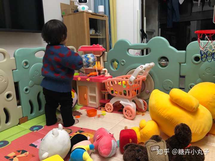 如何给12个月至24个月的宝宝购买合适的玩具 知乎