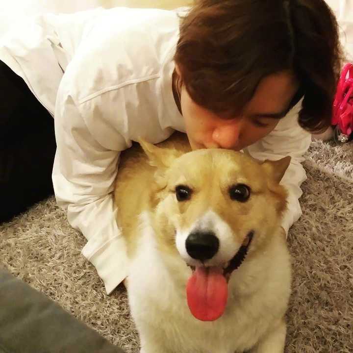 边伯贤的宠物叫什么?