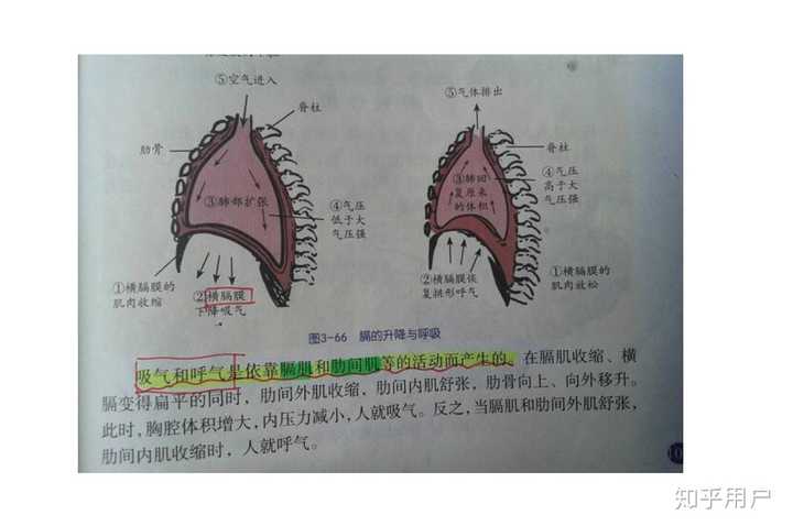 气息对抗原理图图片