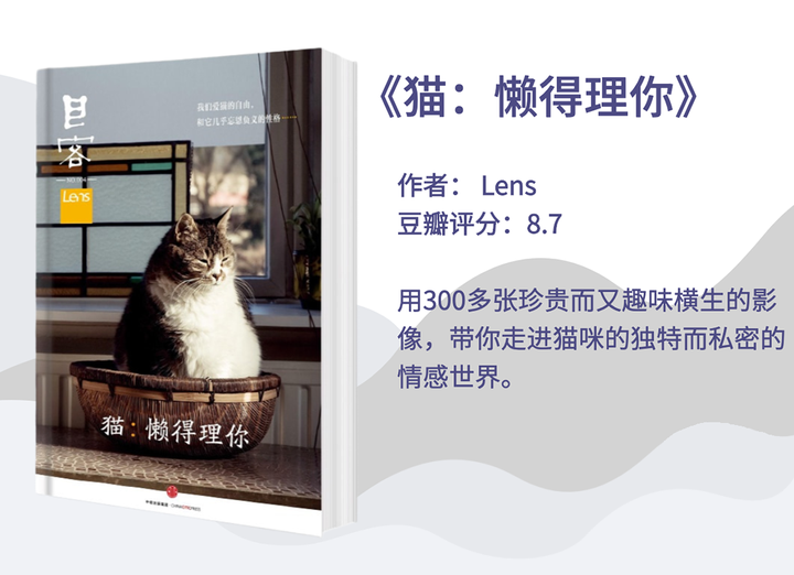 有什么关于猫的文学作品 知乎