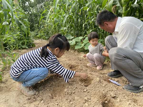 现在经常提的「自然教育」，一定要带孩子远足郊游，去景区、去田野吗？