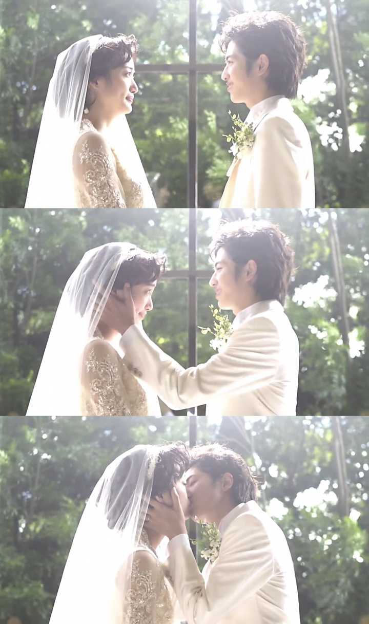 如何评价日剧 宠物情人 知乎