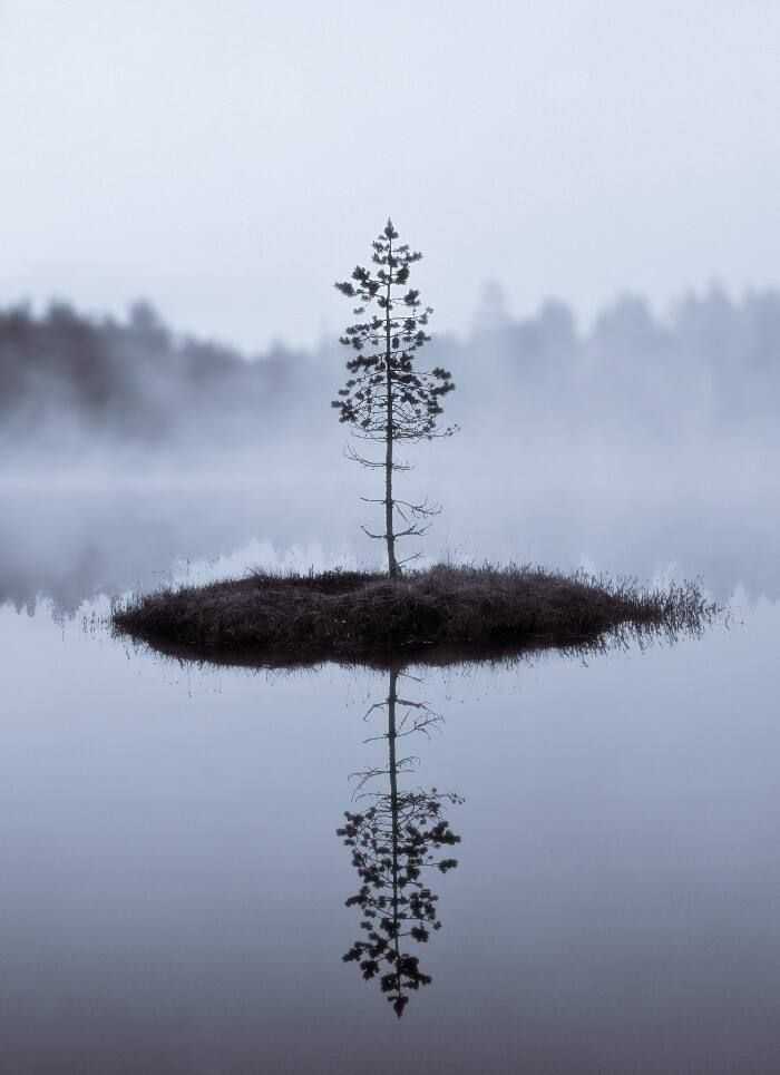 有哪些丧到极致的句子?