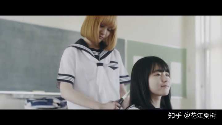 如何评价 三角草的春天 知乎 如何评价 三角草的春天 知乎