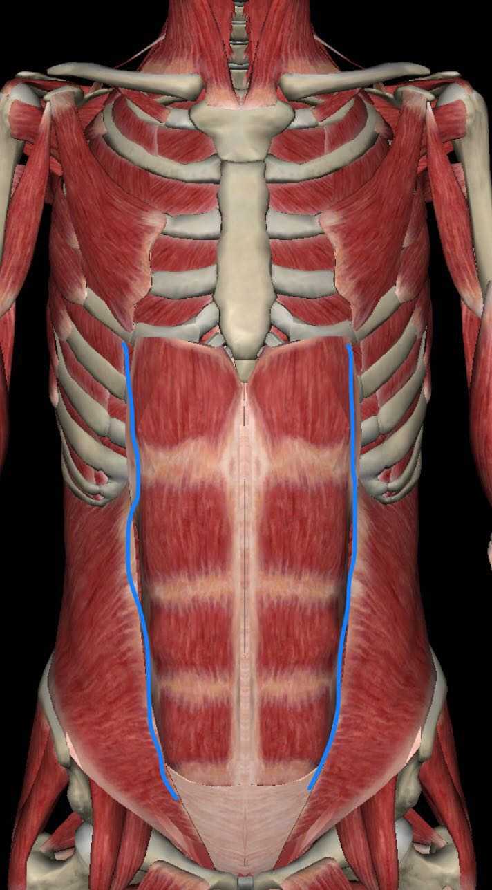 瘦子如何炼出马甲线?