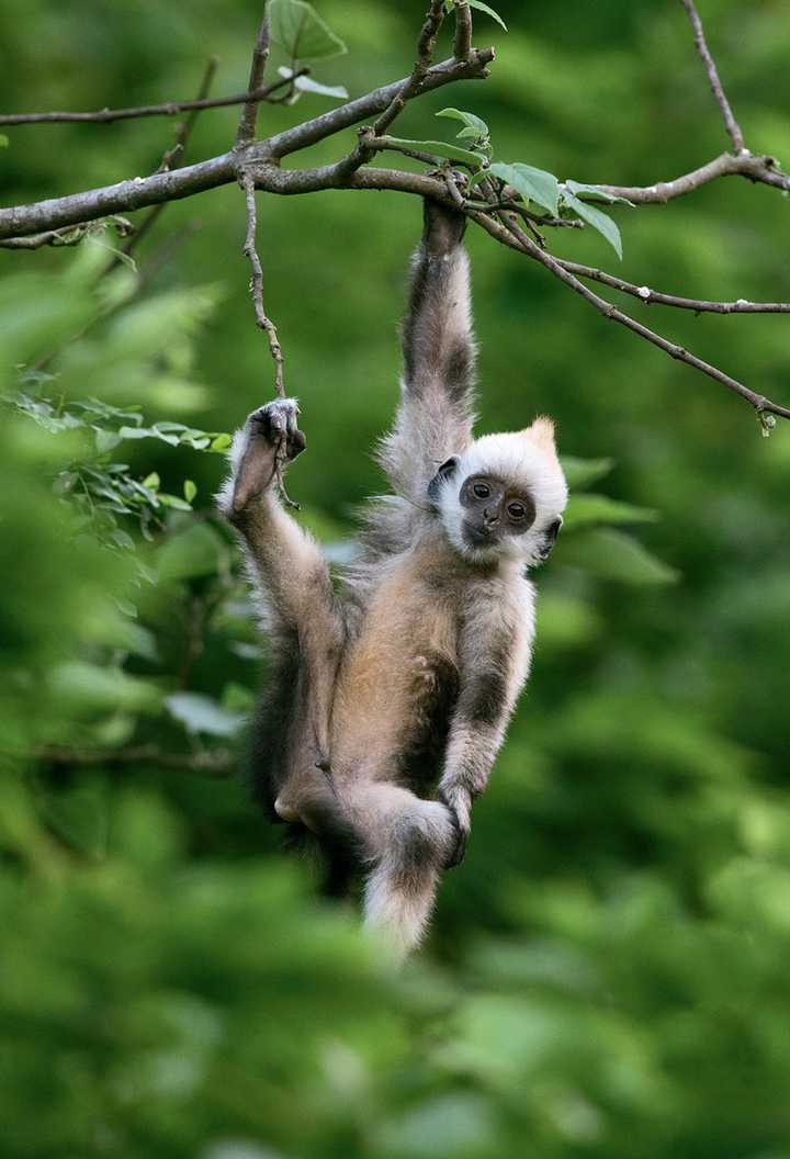 请问国内有哪些动物保护区,可以带孩子去观察动物,学习动物知识的?