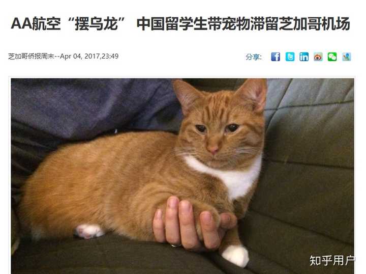 猫走航空托运前需要做什么准备 知乎