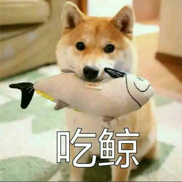 说到西藏 你的第一印象是什么 知乎 说到西藏 你的第一印象是什么 知乎