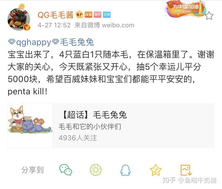 家里养一只猫 猫真的会觉得很孤单 不开心吗 知乎 家里养一只猫 猫真的会觉得很孤单 不开心吗 知乎