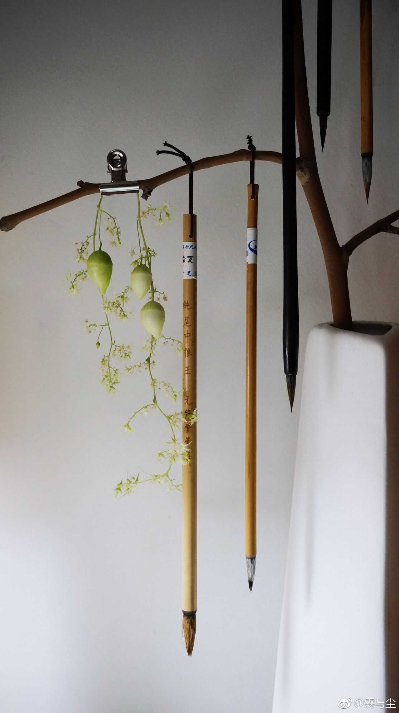 林语尘 《博物》杂志的编辑姐姐像仙女一样地生活着也有一个仙女一样