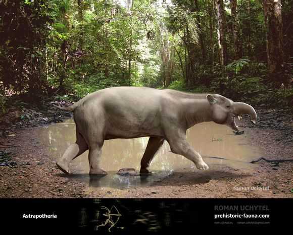 距骨目的类似马的动物 还有一类与大象趋同演化的动物闪兽目和焦兽目