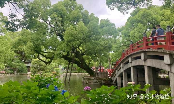 去日本九州旅行有什么好玩的 知乎