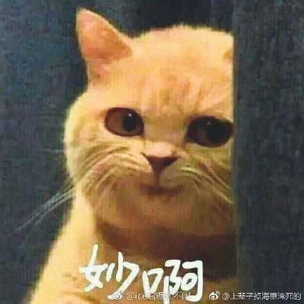 把人的肋骨打断需要多大力 加强锻炼能否提升脆弱部位的抗击打能力 知乎 把人的肋骨打断需要多大力 加强锻炼能否提升脆弱部位的抗击打能力 知乎