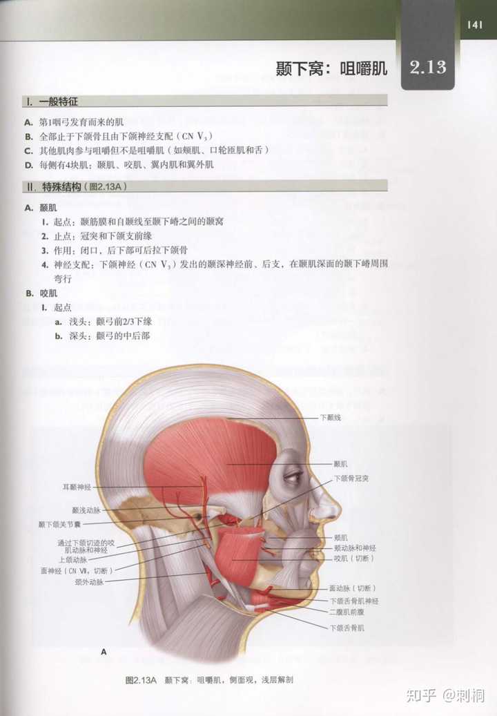 哪些解剖学图谱值得推荐 知乎