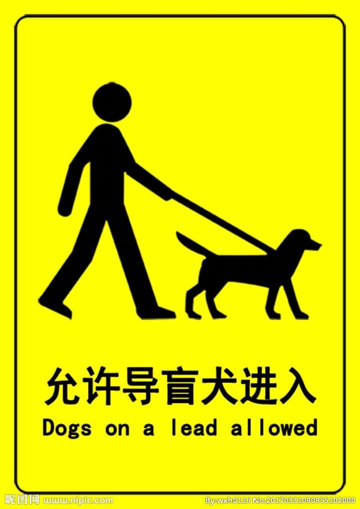 有哪些看起来很蠢的设计实际上真的很蠢?