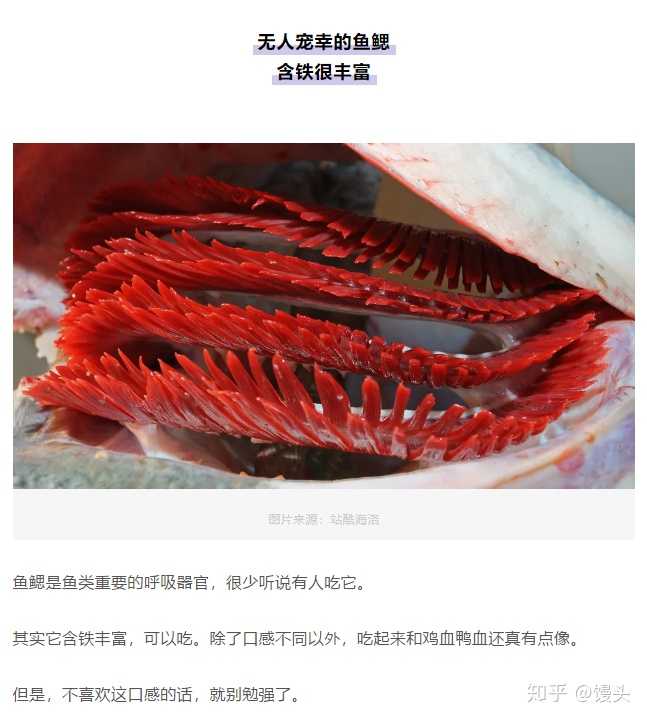 鱼鳃能吃吗 知乎 鱼鳃能吃吗 知乎