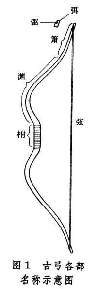 女孩子想玩弓箭 应该从哪一种弓入门呢 不同类型的弓有什么区别吗 知乎